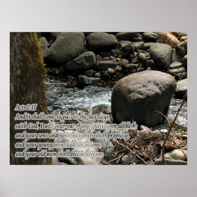 Acts 2:17 Promises Poster (Front)