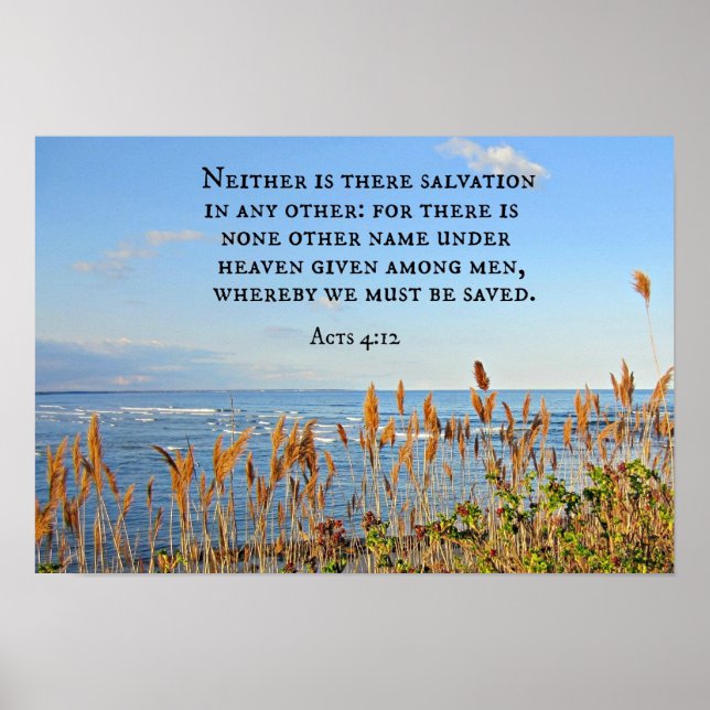 Acts 4:12 Neither is there salvation in any other. Poster (Front)