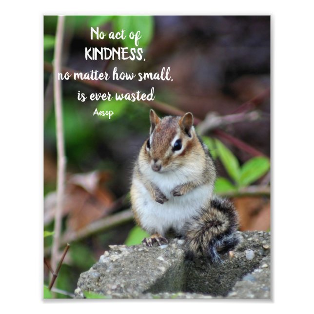 Acts Of Kindness Inspirational Quote Chipmunk Photo Print (Front)