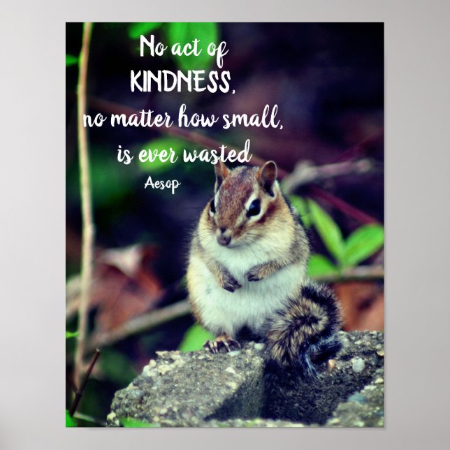 Acts Of Kindness Inspirational Quote Chipmunk Poster (Front)