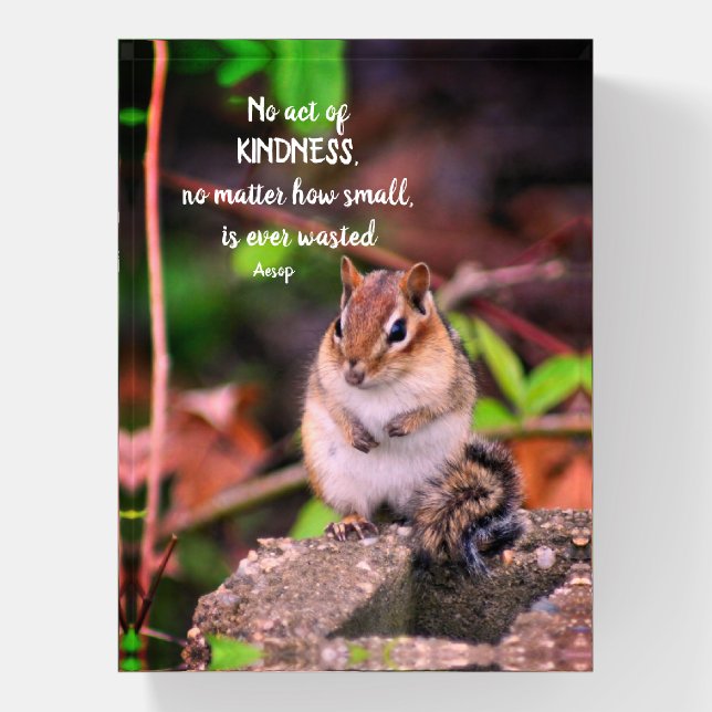Acts Of Kindness Inspirational Quote  Paperweight (Vertical)