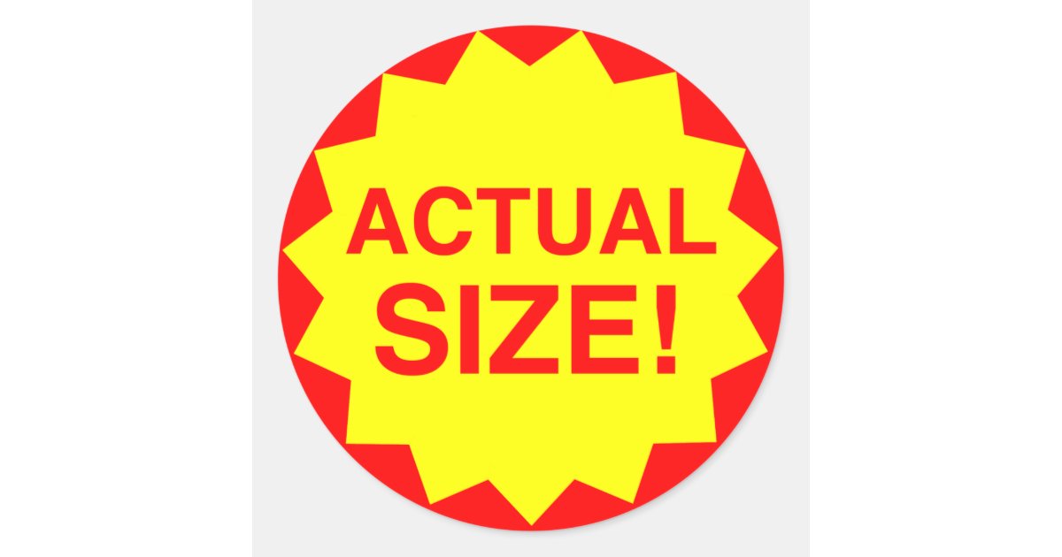 actual size steve jenkins pdf