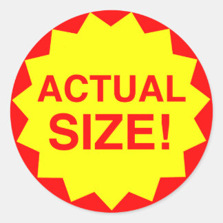 Actual size! classic round sticker