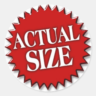 Actual Size Classic Round Sticker
