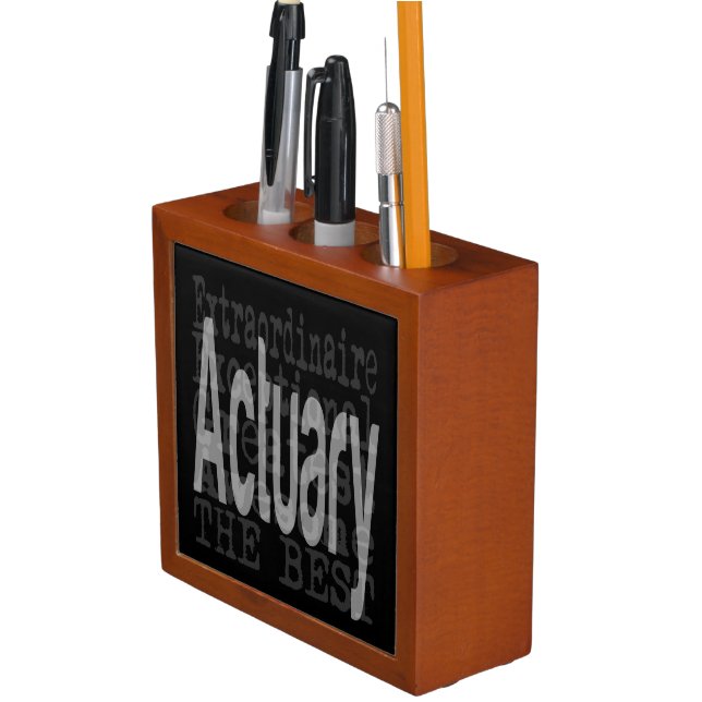 Actuary Extraordinaire Desk Organizer (In Situ)