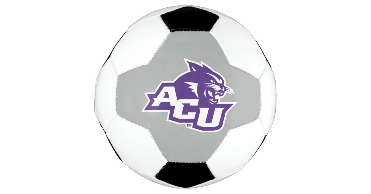 Primary Logo Ball