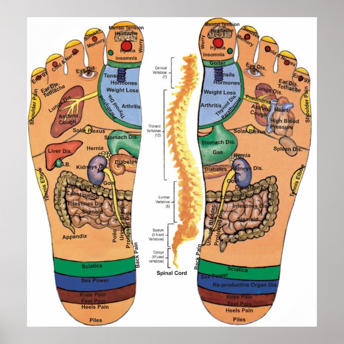 Acupressure Points Pressure Chart for the Feet Poster