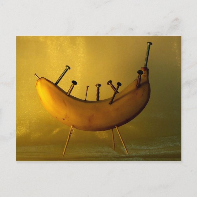 Acupuncture - Alternative Medicine Postcard (Front)