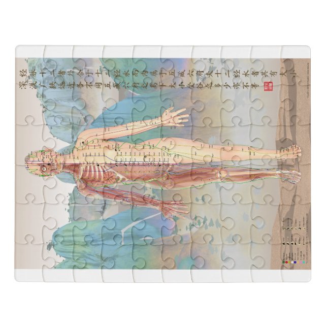 Acupuncture chart puzzle (Puzzle Horizontal)