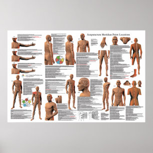 Acupuncture Meridian Point Locations Poster