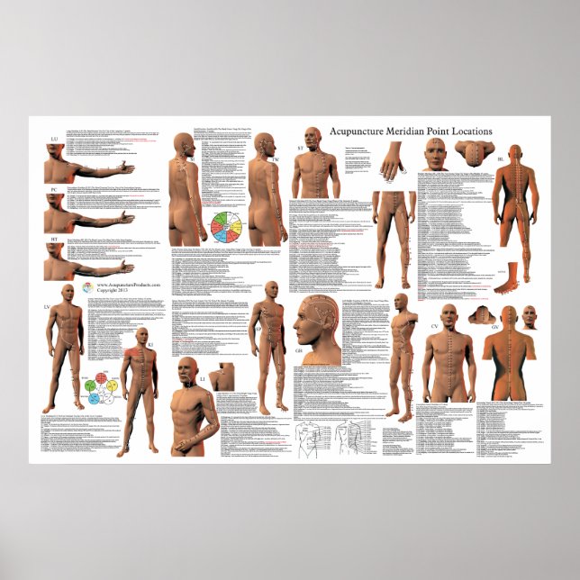 Acupuncture Meridian Point Locations Poster (Front)
