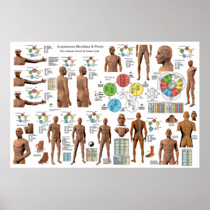 Acupuncture Meridian Point Locations Poster