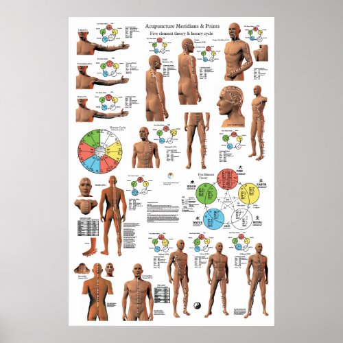 Acupuncture Meridian Points and Pathways Poster