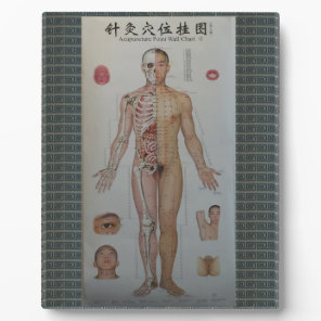 Acupuncture points full body front wall art plaque