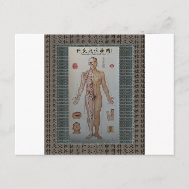 Acupuncture points full body front wall art postcard (Front)