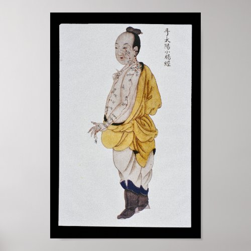 Acupuncture Small Intestine Meridian Hand Taiyang Poster