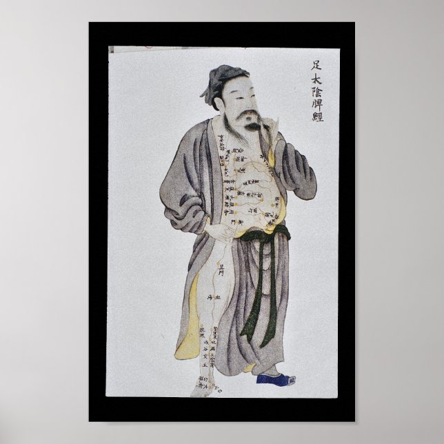 Acupuncture Spleen Meridian Foot Taiyin Poster (Front)