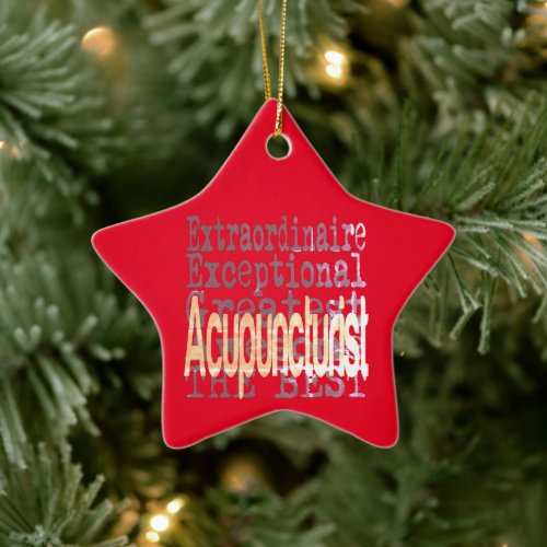 Acupuncturist Extraordinaire Ceramic Ornament