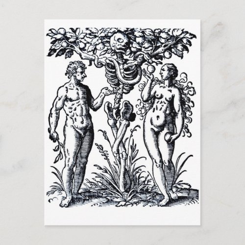 Adam and Eve and the Tree of Knowledge Postcard
