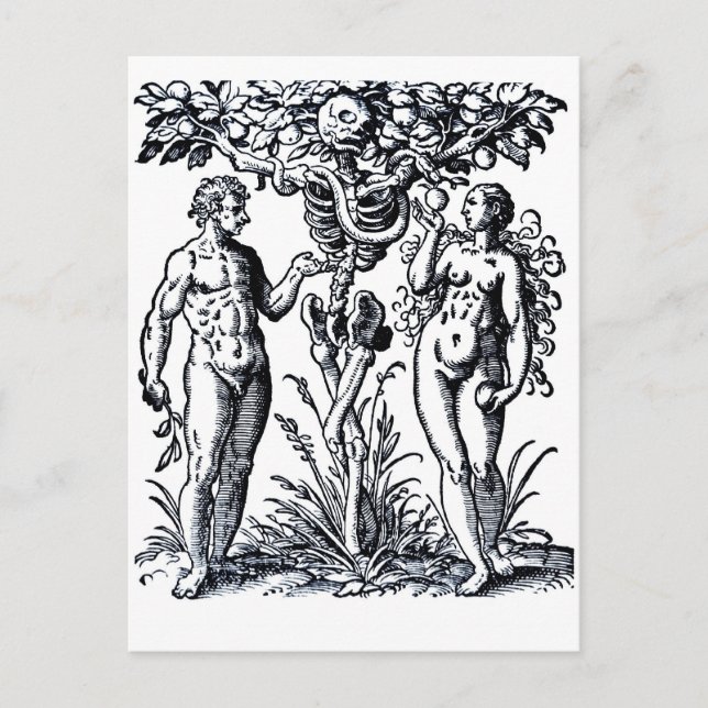 Adam and Eve and the Tree of Knowledge Postcard (Front)