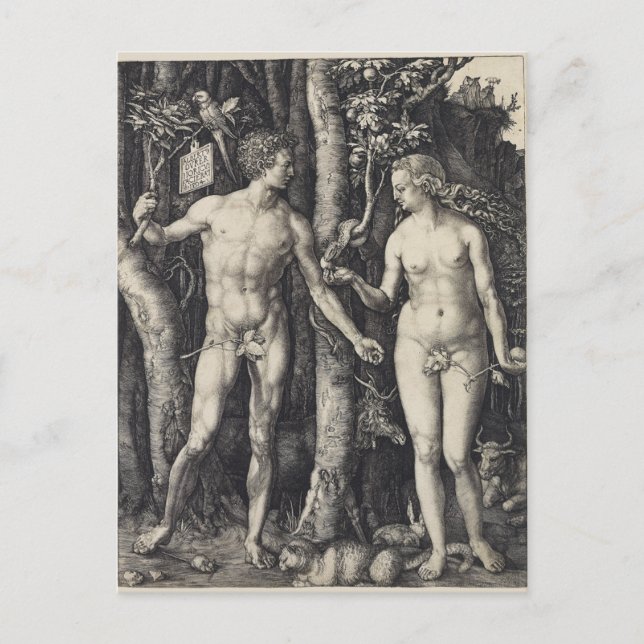Adam and Eve, Engraving by Albrecht Durer Postcard (Front)