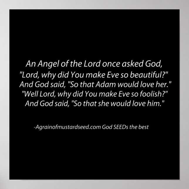 Adam and Eve Fun Christian Poster (Front)