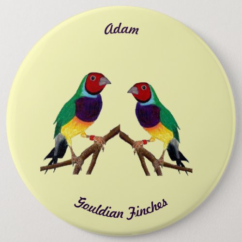 ADAM  Gouldian Finch  Personalised  Button