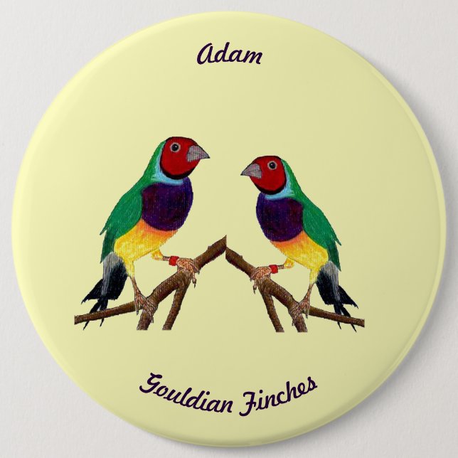 ADAM ~ Gouldian Finch ~ Personalized ~ Button (Front)