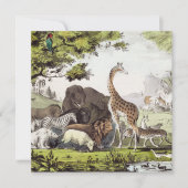 Adam Names the Creatures (Front)