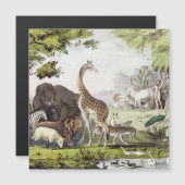 Adam Names the Creatures (Front/Back)