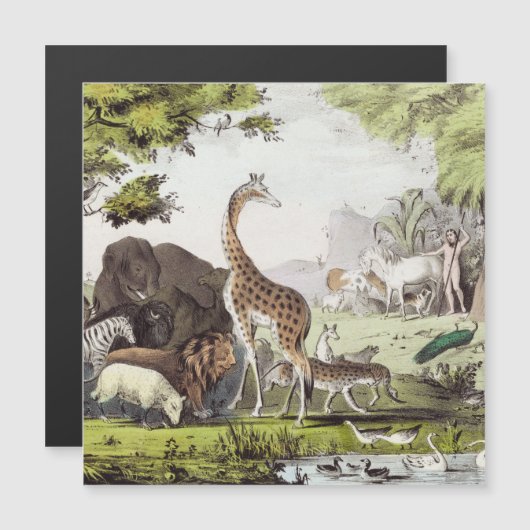 Adam Names the Creatures (Front/Back)