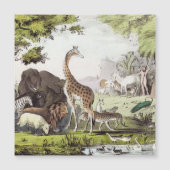 Adam Names the Creatures (Front)