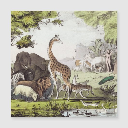 Adam Names the Creatures (Front)