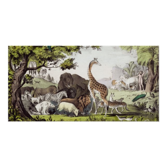 Adam Names the Creatures Poster (Front)