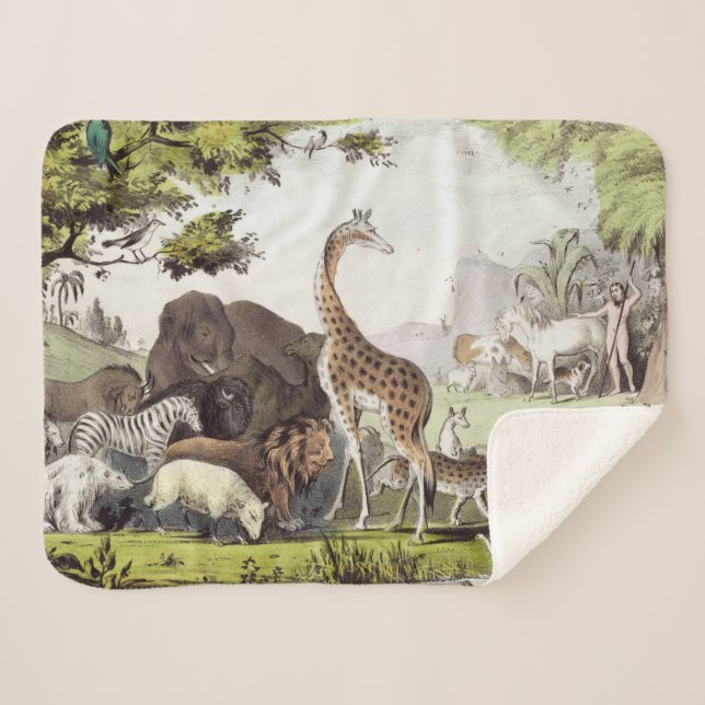Adam Names the Creatures Sherpa Blanket (Front (Horizontal))