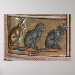 Adam naming the animals, of North Midlands Poster