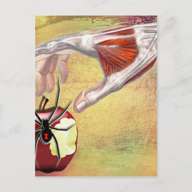 ADAM'S APPLE.jpg Postcard (Front)