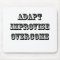 Adapt-Improvise-Overcome