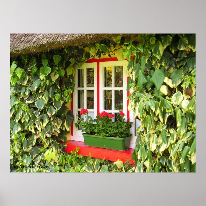 Adare Window Vines Print