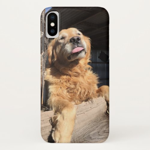 Add A Custom Favorite Pet or Family Photo iPhone X Case