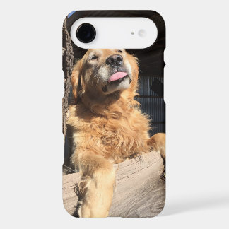 Add A Custom Favorite Pet or Family Photo iPhone 17 Air Case