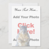 Add A Squirrel Custom (Front)