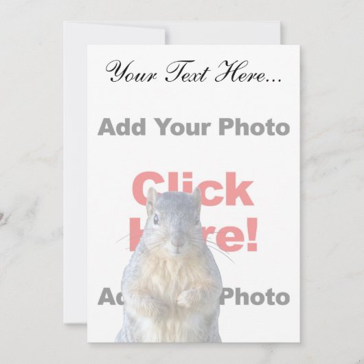 Add A Squirrel Custom (Front)