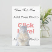 Add A Squirrel Custom (Standing Front)