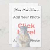 Add A Squirrel Custom (Front/Back)