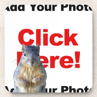 Add A Squirrel Custom Drink Coaster