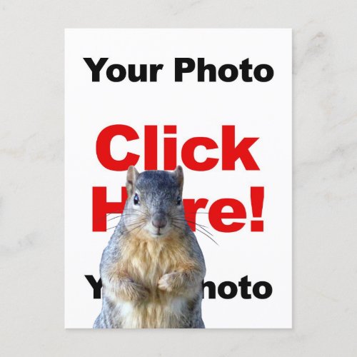 Add A Squirrel Custom Photo Postcard