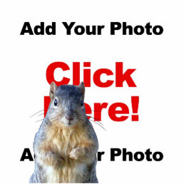 Add A Squirrel Custom Photo Sculpture