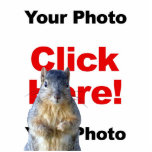 Add A Squirrel Custom Photo Scultpure Cutout<br><div class="desc">Custom Add-A-Squirrel To Any Photo! Add an adorable little squirrel to any photo you like in just a few easy steps. Simply upload your image and then click on Mr. Squirrel to move him around or change his size for a truly original and hilarious photobomb photograph that you can place...</div>