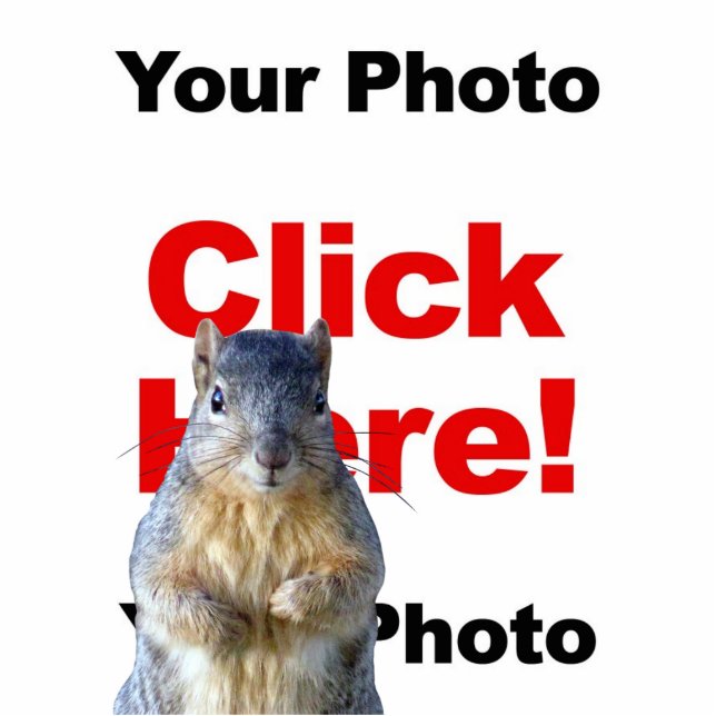 Add A Squirrel Custom Photo Scultpure Cutout (Front)